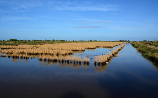 Tăng cường thực hiện các biện pháp phòng, chống nắng nóng, hạn hán, thiếu nước, xâm nhập mặn