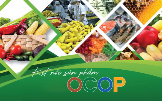 OCOP product introduction week to be organized in Ho Chi Minh City