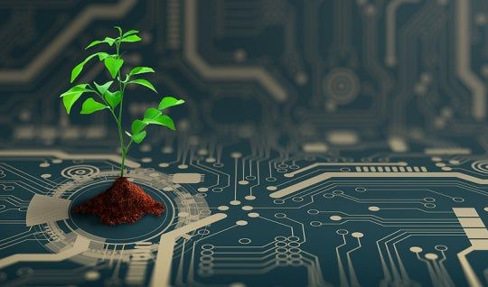 Thúc Đẩy chuyển đổi số phát triển nông nghiệp vùng đô thị