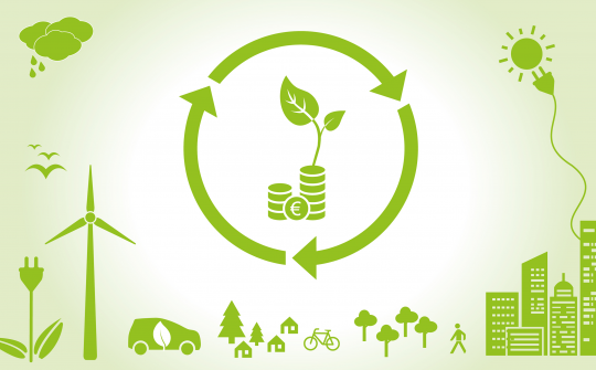 Greening Enterprises: Transforming processes and workplaces