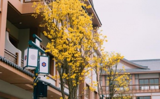 Điểm nhấn kiến trúc của Phố Hàn sang - xịn - mịn nhất tại bờ Đông