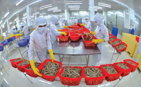 Đảm bảo không có sản phẩm thủy sản bất hợp pháp xuất khẩu ra nước ngoài