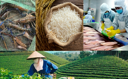 Building and developing agricultural product brands
