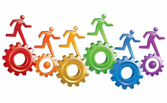 VSS effectively implements administrative reform