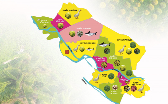 The Japanese government contributed 195,277 USD in funding to Dong Thap agricultural development.