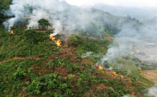 Chủ động, tăng cường các biện pháp cấp bách phòng cháy, chữa cháy rừng