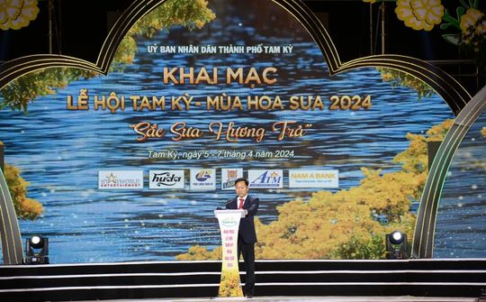 Quảng Nam: Lễ hội “Hoa sưa 2024” và công bố quyết định đón bằng công nhận cây di sản Việt Nam
