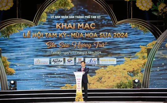 Quảng Nam: Lễ hội “Hoa sưa 2024” và công bố quyết định đón bằng công nhận cây di sản Việt Nam