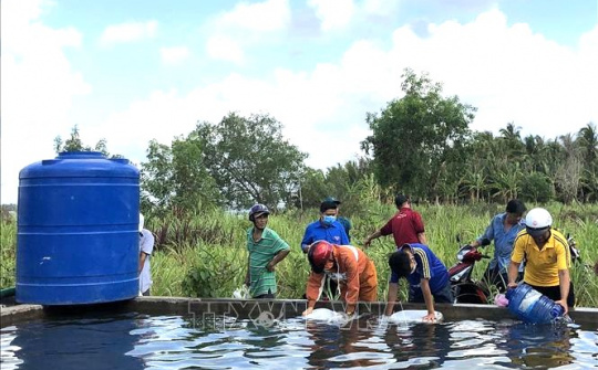 Tập trung bảo đảm cấp nước sinh hoạt cho người dân trong các đợt xâm nhập mặn cao điểm tại ĐBSCL