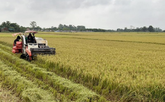 Hà Tĩnh: Huyện Đức Thọ sản xuất nông nghiệp hữu cơ theo chuỗi kinh tế tuần hoàn của Tập đoàn Quế Lâm