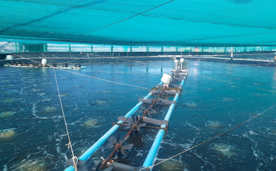 Bến Tre: Phát triển bền vững, toàn diện gắn với trách nhiệm bảo vệ môi trường và thích ứng biến đổi khí hậu