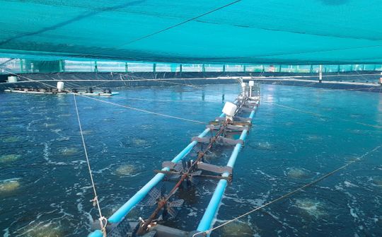Bến Tre: Phát triển bền vững, toàn diện gắn với trách nhiệm bảo vệ môi trường và thích ứng biến đổi khí hậu