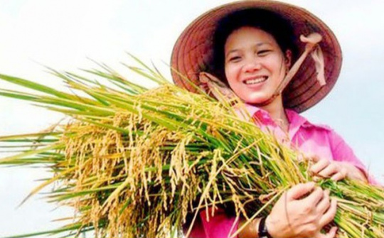 Tiếp tục nâng cao hiệu quả chính sách hỗ trợ nông dân phát triển sản xuất