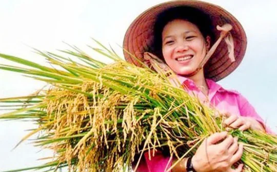 Tiếp tục nâng cao hiệu quả chính sách hỗ trợ nông dân phát triển sản xuất