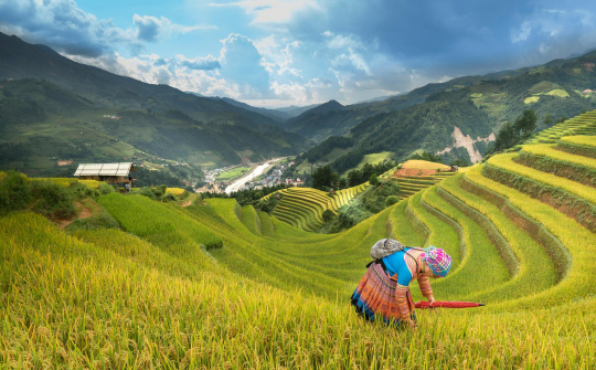 The Northern midland and mountainous set goals to be areas of green, inclusive, and sustainable growth by 2023