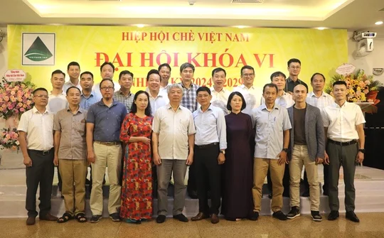 Hiệp hội Chè Việt Nam: Tổ chức thành công Đại hội khóa VI, nhiệm kỳ 2024-2029