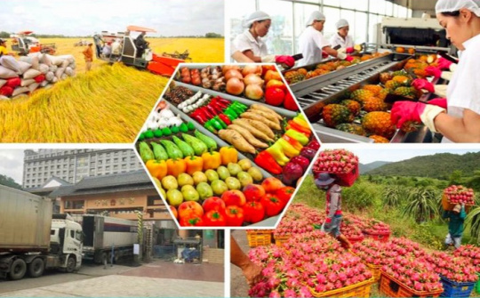 Mô hình xuất khẩu hàng nông sản trong kỷ nguyên công nghệ