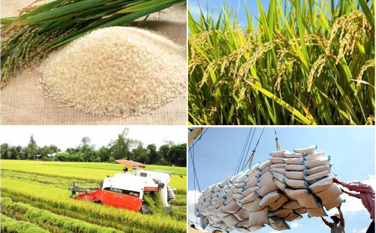 For the first time, Vietnam has become the largest rice exporter to Singapore