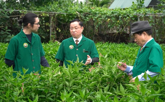Thọ Xuân Đường - 4 thế kỷ vì sức khỏe nhân dân