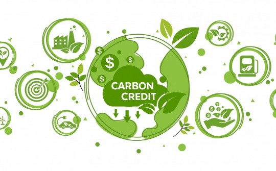 Carbon credit market: New opportunities for Vietnamese businesses