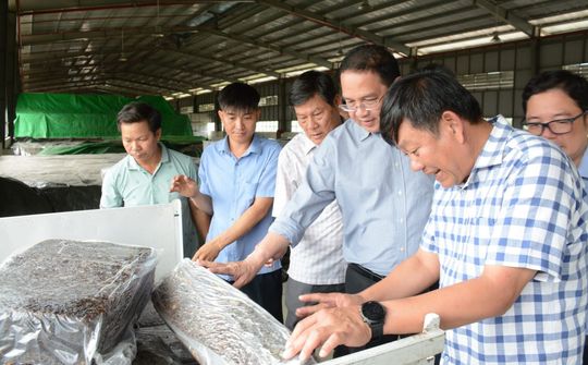 Ông Trương Minh Trung – Phó TGĐ VRG: Sản xuất mủ Mixture và các giải pháp quản lý hàm lượng mủ cao su nhằm tăng giá trị thành phẩm