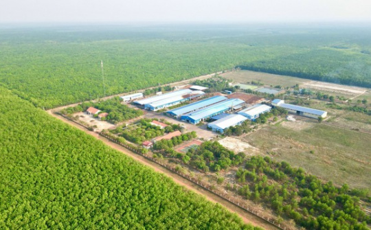 VRG: Phát triển bền vững trên những giá trị xanh