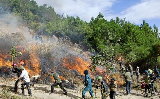 Tiếp tục quyết liệt triển khai có hiệu quả các biện pháp phòng cháy, chữa cháy rừng