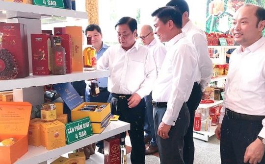 Thanh Hóa: Phát huy tiềm năng, hiệu quả các sản phẩm OCOP