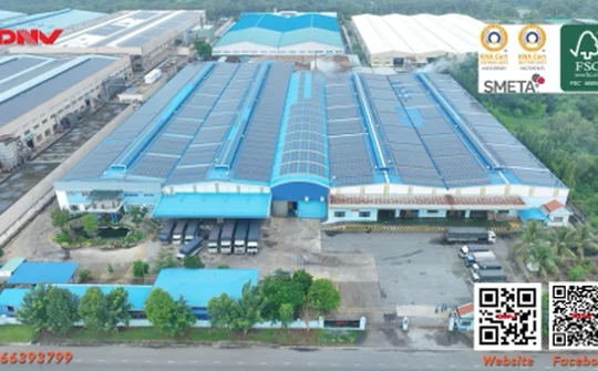 Công ty Bao Bì Đông Nam Việt - Chứa trọn niềm tin