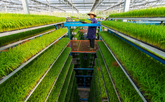 Promoting linkage of organic agricultural production chain