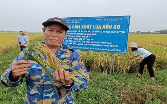 Hà Tĩnh: Mô hình sản xuất lúa theo tiêu chuẩn hữu cơ, gắn liên kết tiêu thụ sản phẩm với doanh nghiệp