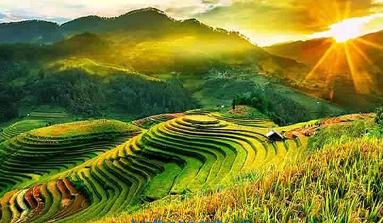 Đến năm 2030, vùng trung du và miền núi phía Bắc trở thành vùng phát triển xanh, bền vững và toàn diện