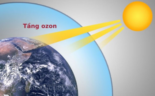 Kế hoạch quốc gia về quản lý, loại trừ các chất làm suy giảm tầng ozon