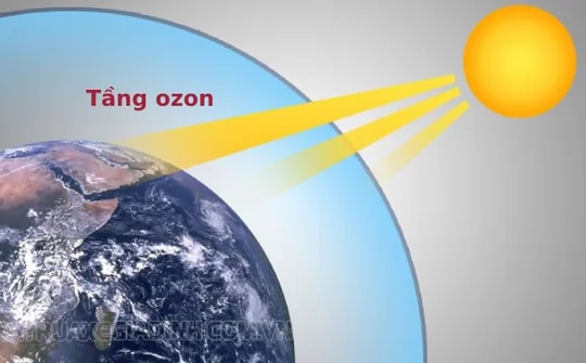 Kế hoạch quốc gia về quản lý, loại trừ các chất làm suy giảm tầng ozon