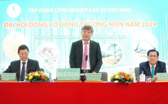 VRG chia cổ tức 1.200 tỷ đồng năm 2023