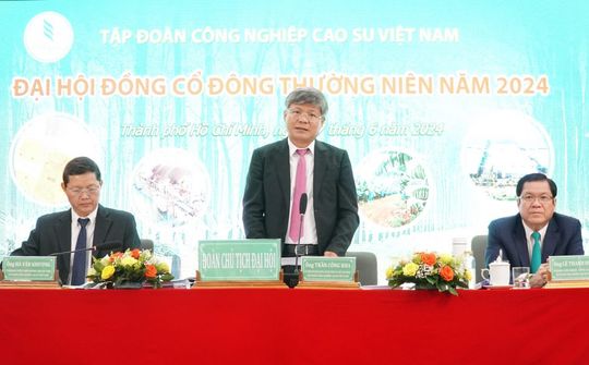 VRG chia cổ tức 1.200 tỷ đồng năm 2023
