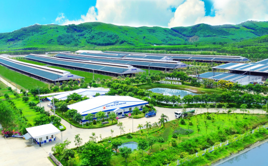 Hệ sinh thái "Net Zero" đã vượt ra ngoài những trang trại xanh của Vinamilk