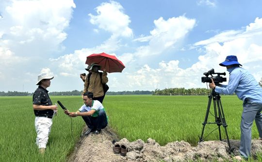 Vi sinh vật - Giải pháp cho nền nông nghiệp hữu cơ