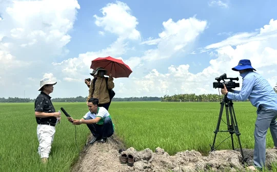 Vi sinh vật - Giải pháp cho nền nông nghiệp hữu cơ