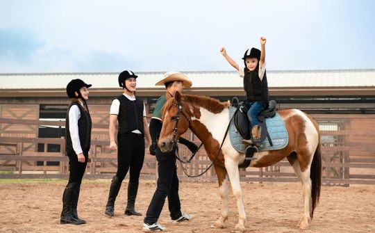 Du khách hào hứng khám phá bộ môn mã thuật tại Vinpearl Horse Academy Vũ Yên