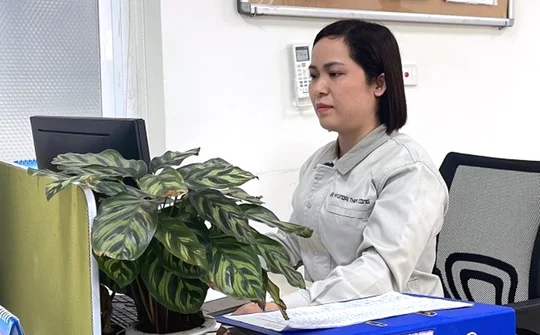 Bông hoa đẹp trong vườn hoa sáng kiến