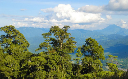 Vietnam Airlines chung tay thực hiện chiến dịch 'Vì một Việt Nam xanh và phát triển bền vững"