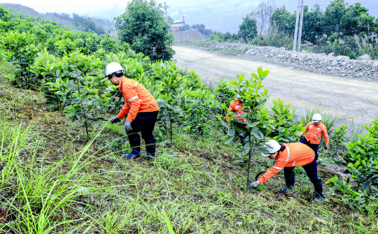 Masan High-Tech Materials tăng cường sáng kiến bền vững trên hành trình phát triển xanh
