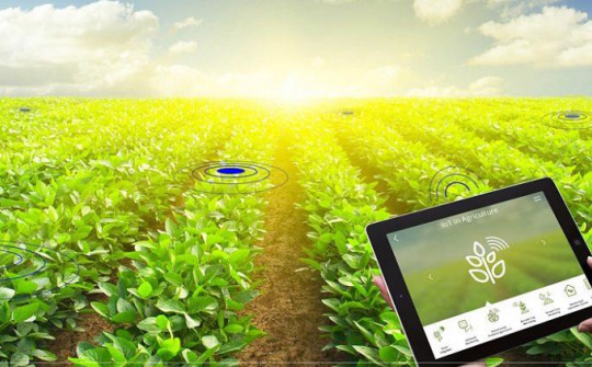 Tháo gỡ "điểm nghẽn" đang là rào cản trong quá trình thúc đẩy chuyển đổi số