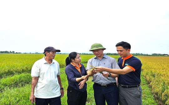 Hà Tĩnh: Đề án phát triển nông nghiệp hữu cơ giai đoạn 2024-2030