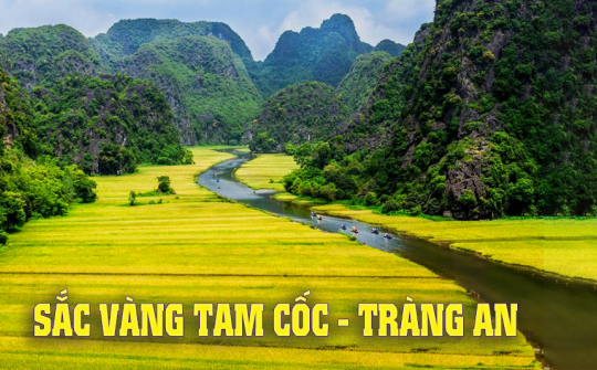Tuần Du lịch Ninh Bình 2024 “Sắc vàng Tam Cốc - Tràng An” đón gần 300 nghìn lượt du khách