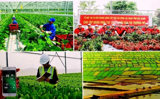 Tổ chức Tổng điều tra nông thôn, nông nghiệp năm 2025