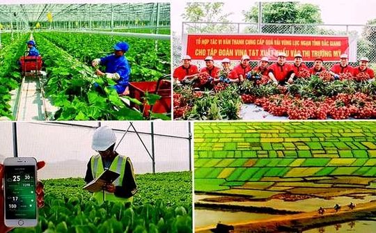 Tổ chức Tổng điều tra nông thôn, nông nghiệp năm 2025