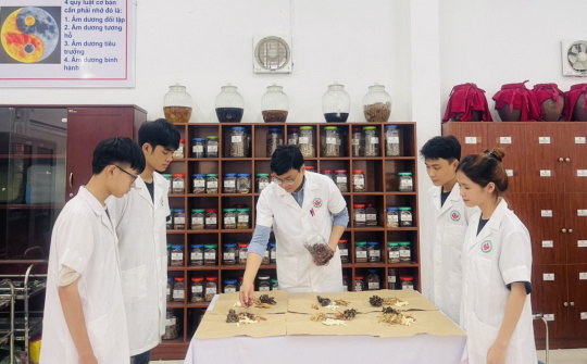 Trường Cao đẳng Y Dược Tuệ Tĩnh Hà Nội: Sức hút từ các hoạt động đào tạo ngắn hạn