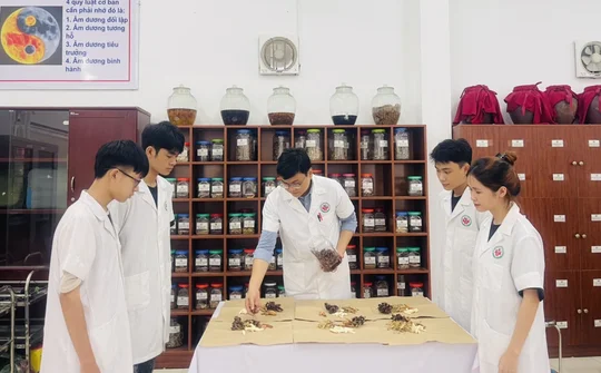Trường Cao đẳng Y Dược Tuệ Tĩnh Hà Nội: Sức hút từ các hoạt động đào tạo ngắn hạn